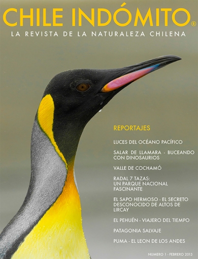 Chile Indómito, La Revista de Naturaleza de Chile
