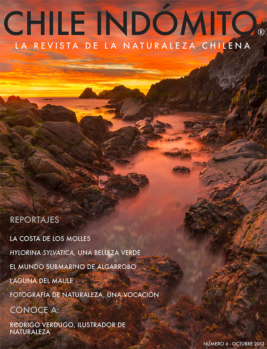 Chile Indómito, La revista de Naturaleza de Chile