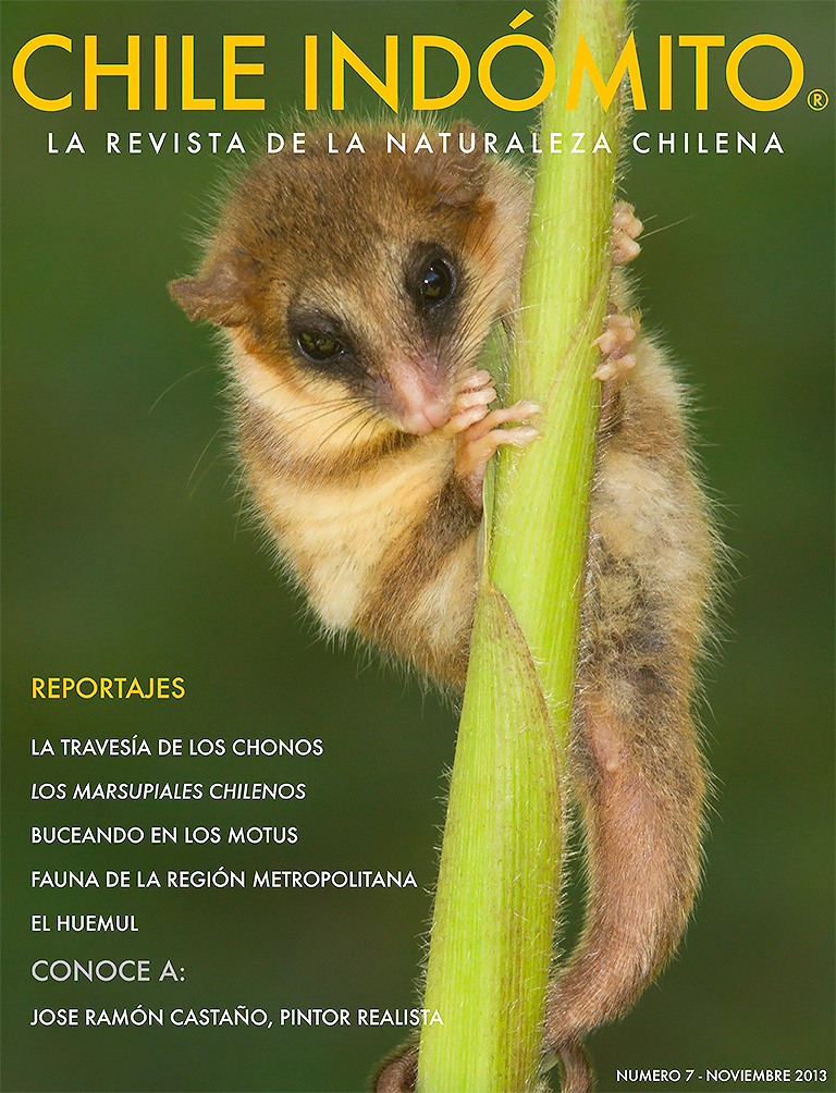 Chile Indómito, La revista de Naturaleza de Chile